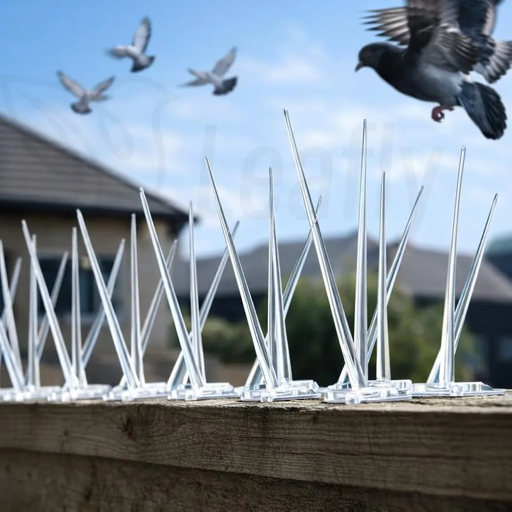 Bird spikes installed on an outdoor ledge
